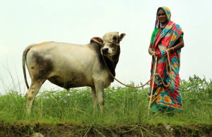 A CLP Participant with her asset