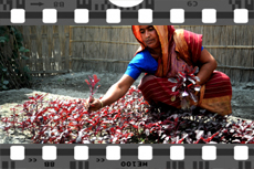 parul video