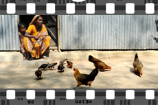shanti video