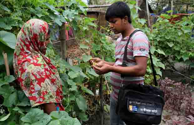 Agriculture service provider giving advice on homestead gardening