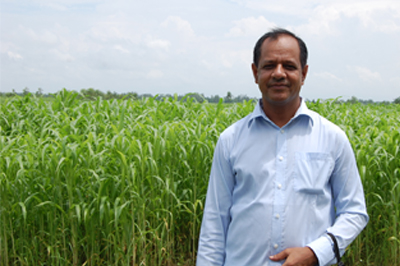 Chandan da