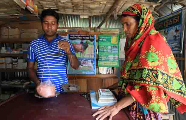 Char input dealer selling improved feed
