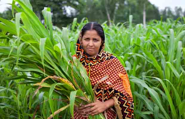 Participant collecting fodder from her own land