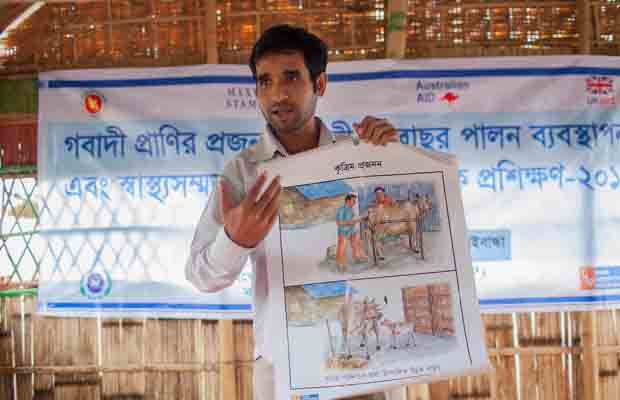 Training on modern cattle rearing