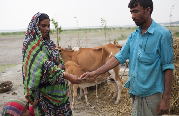 78,026 families received income-generating assets to diversify their livelihoods