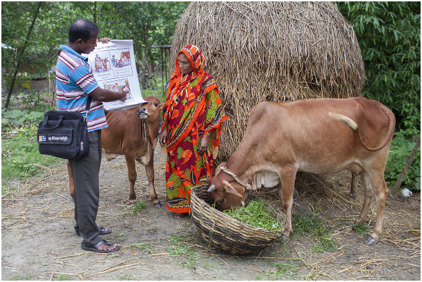 A CLP participant gets a quick refresher on livestock management approaches.